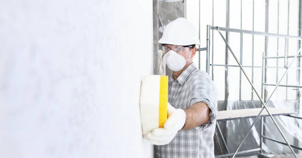 Why You Should Choose Our Mold Remediation Services in Breckenridge Hills, MO